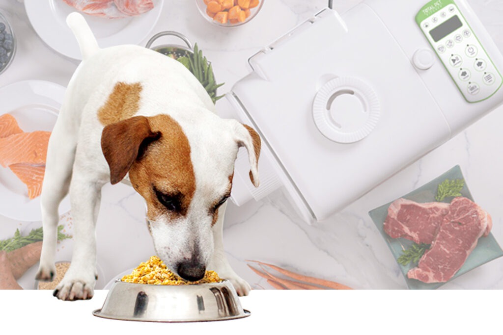 Best Dog Food for Allergies: Why Fresh Homemade Meals Are the Healthiest Choice