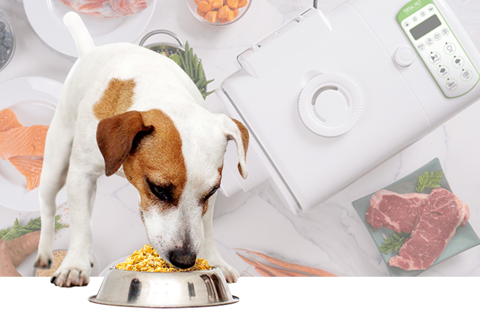 Best Dog Food for Allergies: Why Fresh Homemade Meals Are the Healthiest Choice