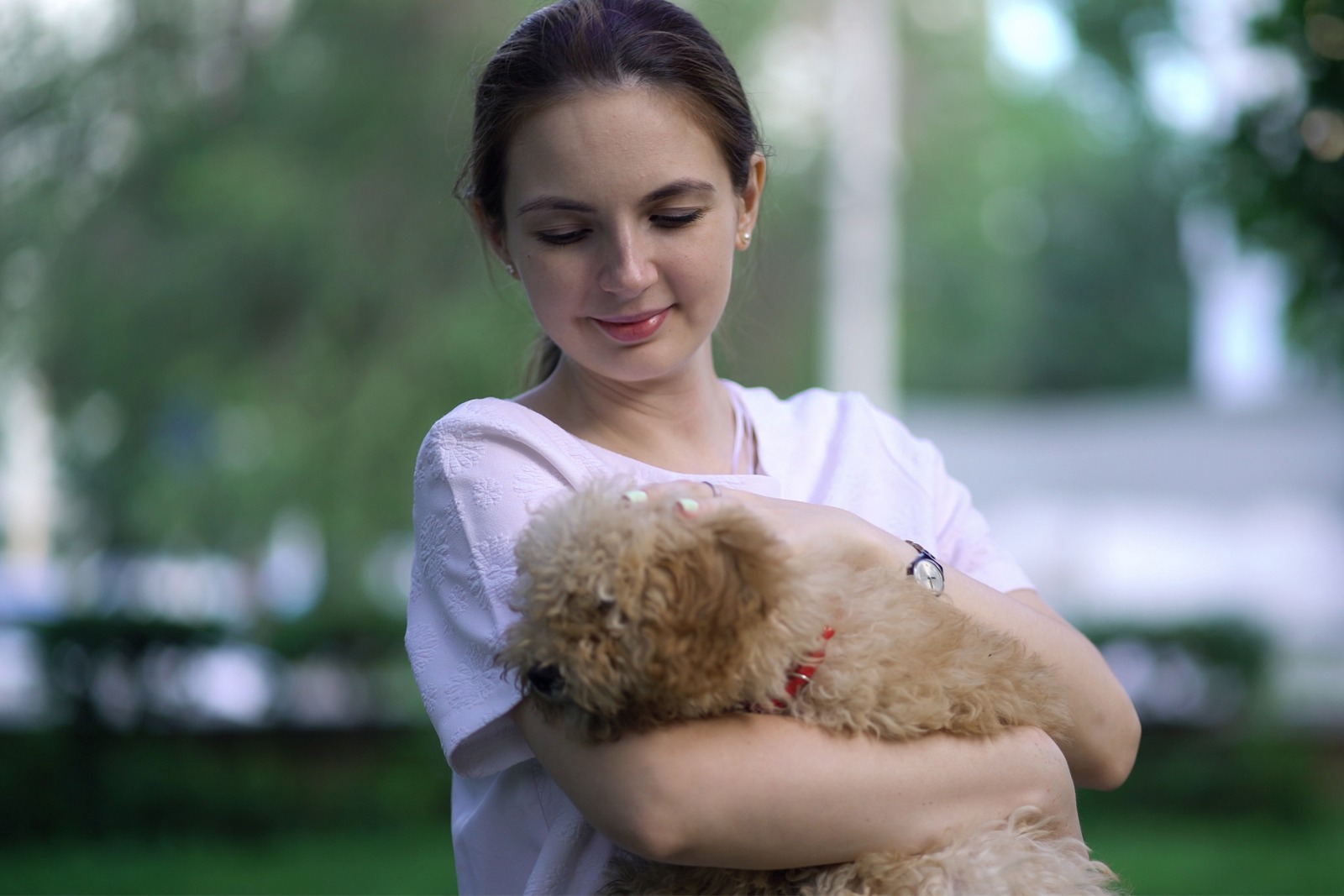 Cute puppy - girl holding