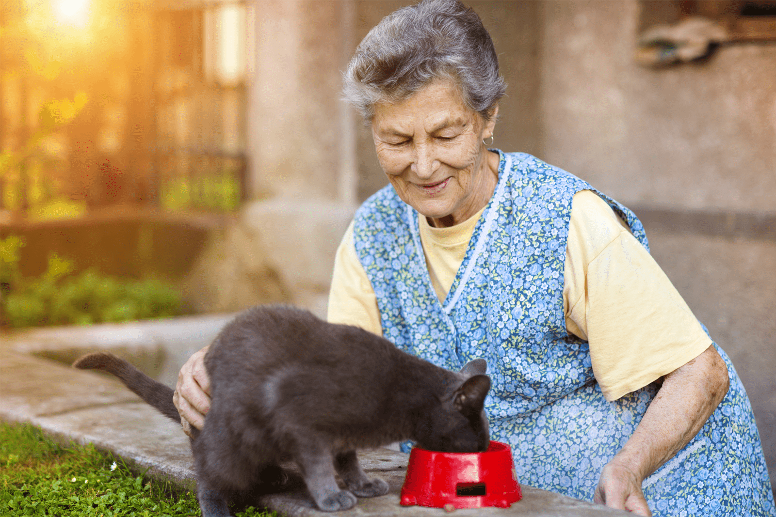 Woman feeding her pet cat healthy home cooked food